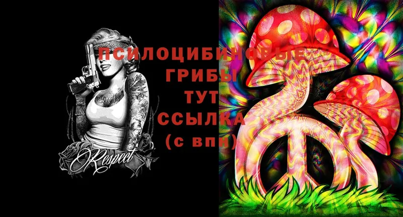 Псилоцибиновые грибы MAGIC MUSHROOMS  Каменка 